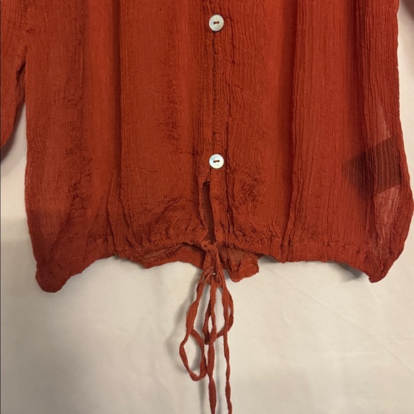 Kimchi Blue Sheer Buttoned Blouse, Size S, Color Auburn - Picture 3 of 7